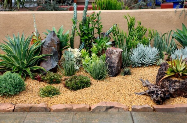 Taman kering dengan tanaman kaktus dan batu-batuan